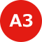 A3